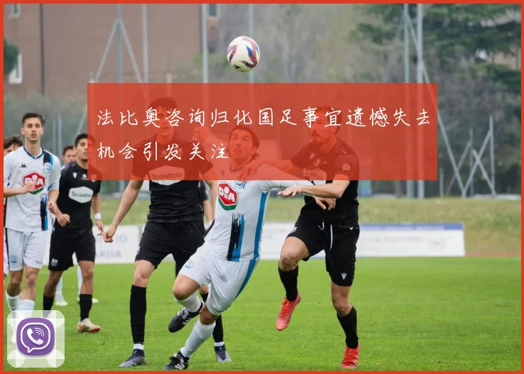 法比奥咨询归化国足事宜遗憾失去机会引发关注