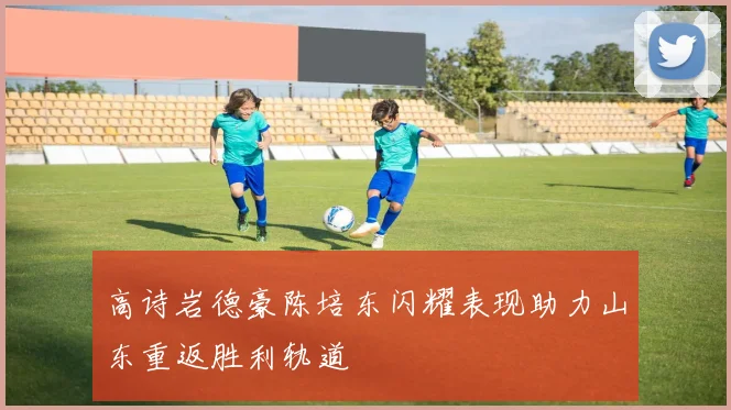 高诗岩德豪陈培东闪耀表现助力山东重返胜利轨道