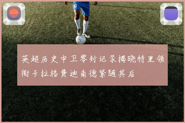 英超历史中卫零封记录揭晓特里领衔卡拉格费迪南德紧随其后